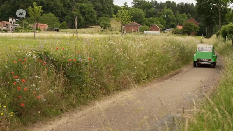 ZOMERTIP - Aarschot