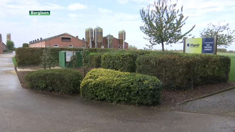 Zuhal Demir blokkeert opnieuw uitbreiding Loons varkensbedrijf