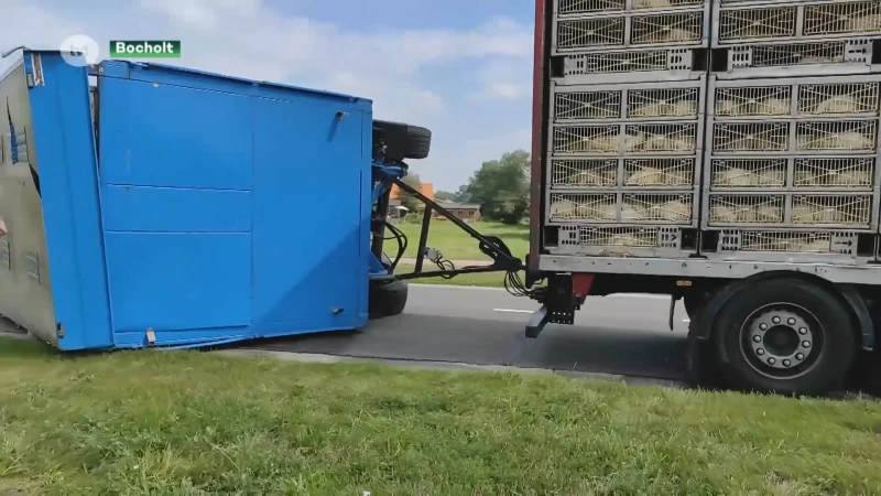 Kippenvrachtwagen kantelt in Bocholt