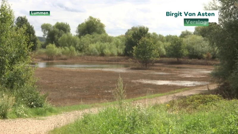 Herderskoppel moet op zoek naar nieuwe weide en extra hooi voor schapen na wateroverlast