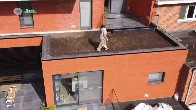 Groendaken, die kunnen helpen tegen wateroverlast, in opmars