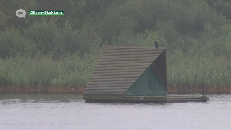 Kampeervlotten in Dilsen-Stokkem weer open na waterramp