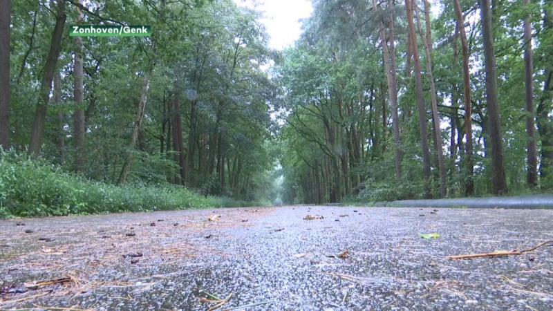 Sluipweg tussen Zonhoven en Genk wordt opgebroken en omgevormd tot natuurverbinding