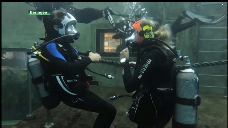 Glen vraagt zijn Melissa ten huwelijk... onder water