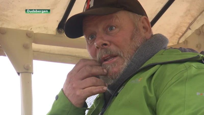 Wolf bijt drachtige koe dood in Meeuwen