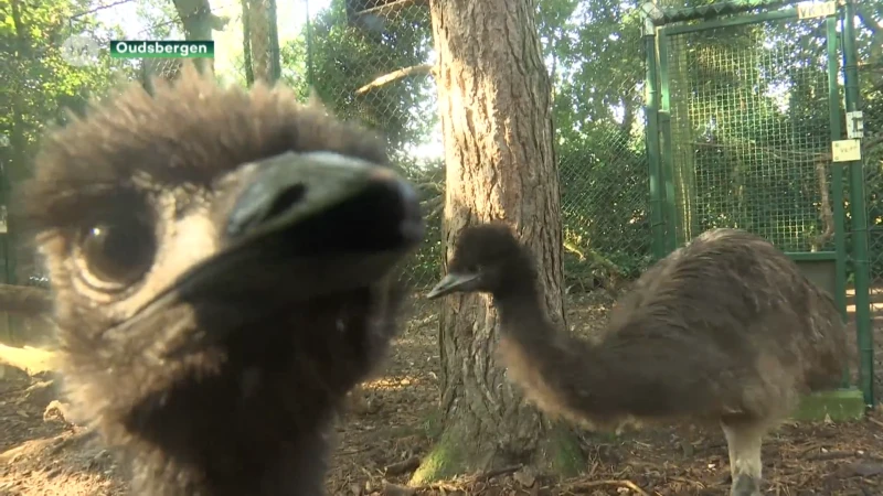 Exclusieve inkijk in uitbreidingsplannen Natuurhulpcentrum