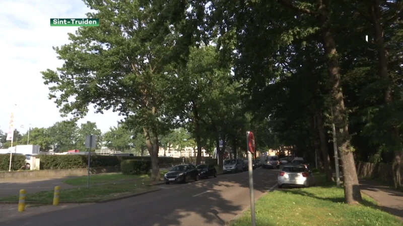 Sint-Truiden breekt site rond de Veemarkt op