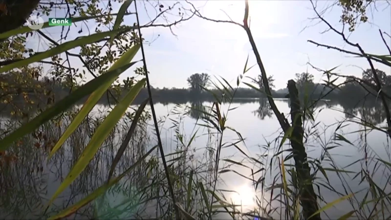 Natuurgebied De Wijers wil Landschapspark worden