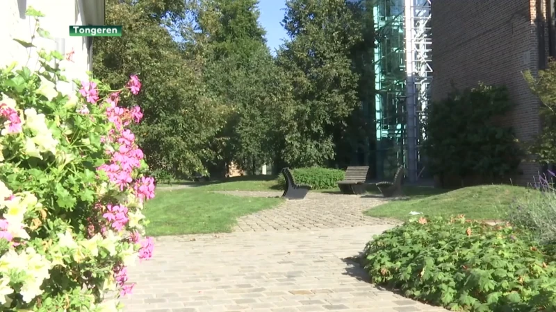 Praetorium Tongeren krijgt nieuwe stadstuin
