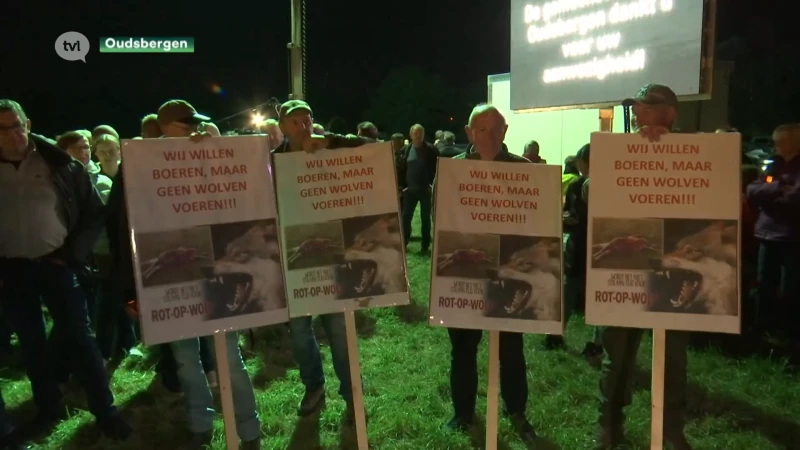 3.000 mensen wandelen mee in wolvenfakkeltocht: "Wij zijn bang"