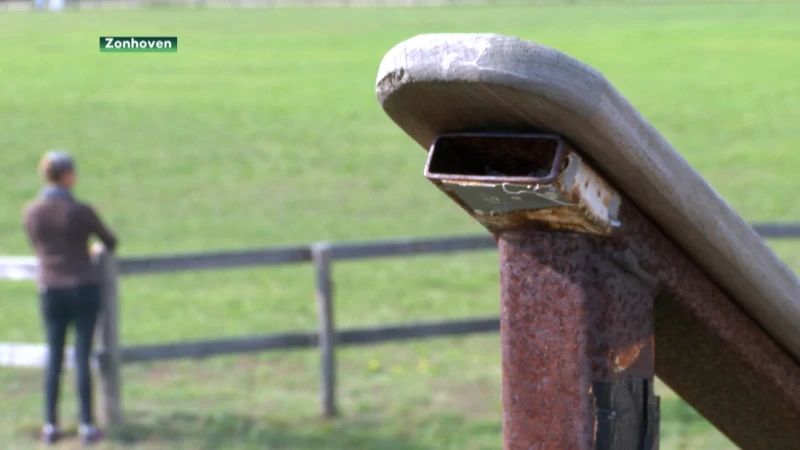 Paardeneigenares hard aangepakt omdat ze wolf verdedigt