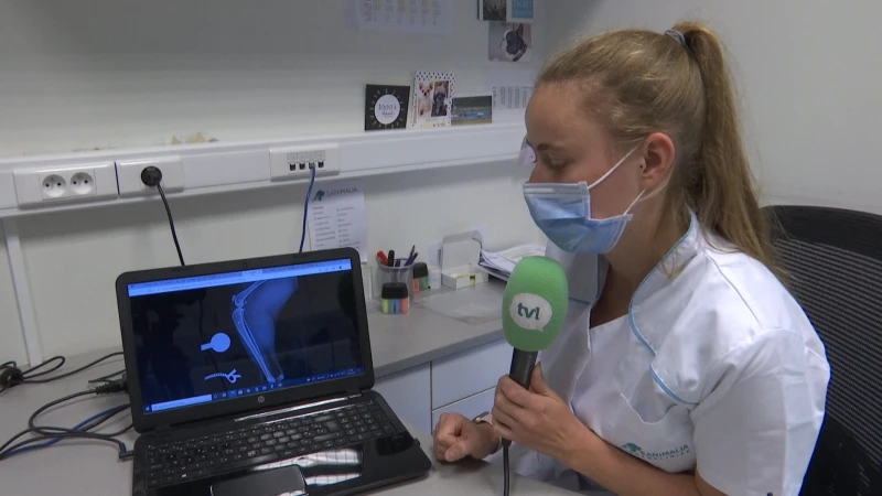 TVL Nieuws, 27 september 2021