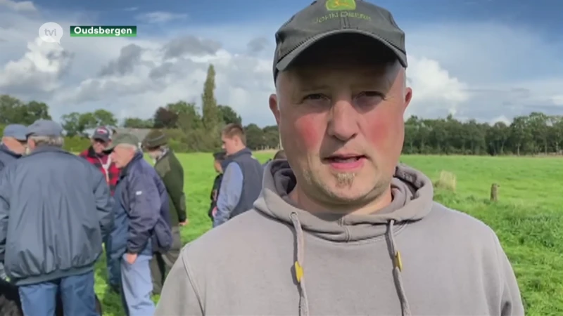 Buurtbewoners in Meeuwen zijn wolfaanvallen beu: "Overheid moet ingrijpen"