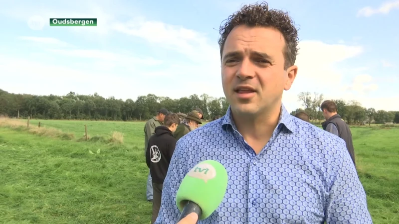 Oudsbergen wil wolf verjagen of achter een omheining