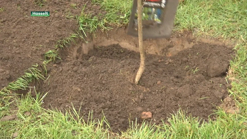 Alken-Maes verdeelt samen met Natuurpunt 3.000 klimaatbomen