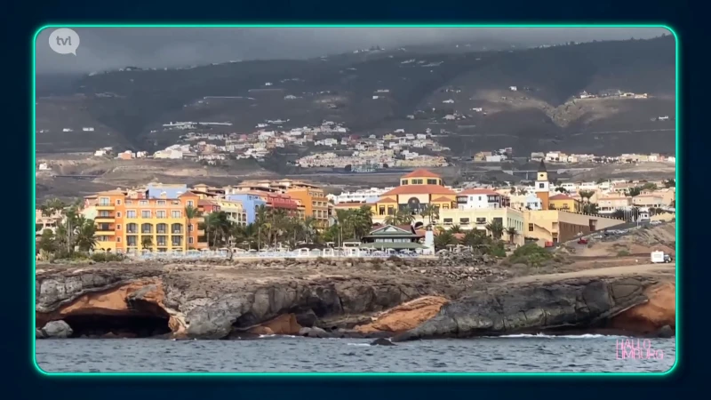 Walvissen spotten op de TVL Reis Tenerife