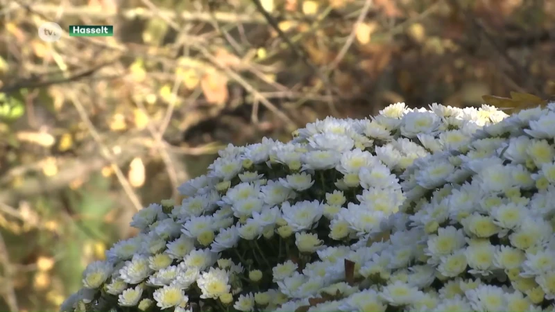 8.000 bezoekers voor chrysantenfestival in de Japanse Tuin