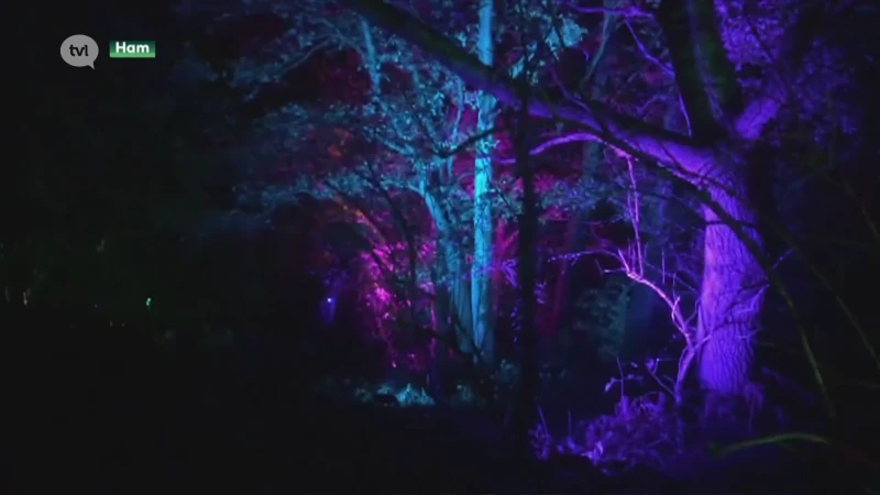 Hamse 'Magie in het bos' trekt 21.000 wandelaars