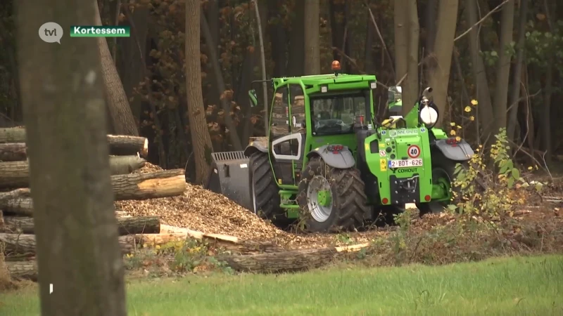 Burgemeester doet oproep aan parket om op te treden tegen familie die illegaal bos kapt in Kortessem