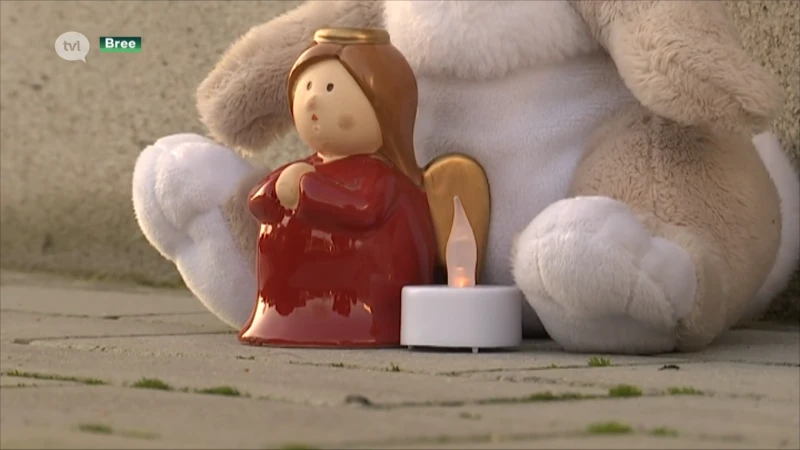 Breese verpleegster vrijdag voor assisen voor kerstmoord op zoontje van zes
