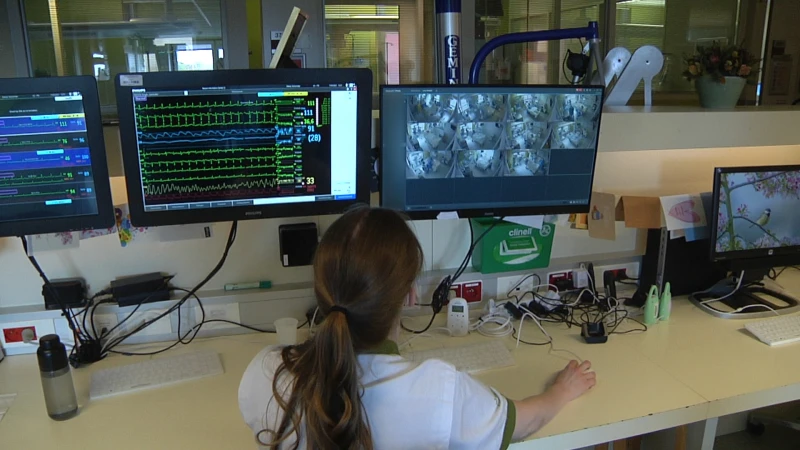 Overlegcomité kondigt straks nieuwe verstrengingen aan