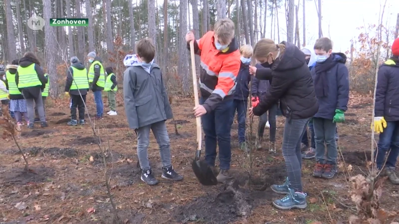 Zonhoven breidt Teut uit met loofbomen
