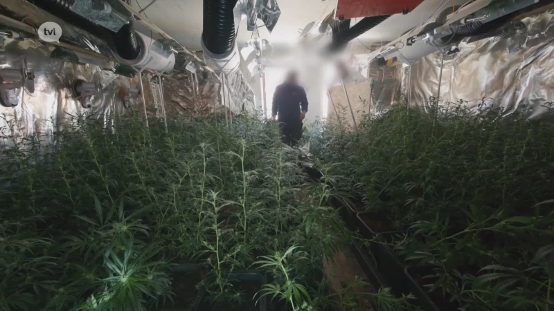 Gerecht arresteert 13 verdachten bij 29 huiszoekingen in groot drugsonderzoek