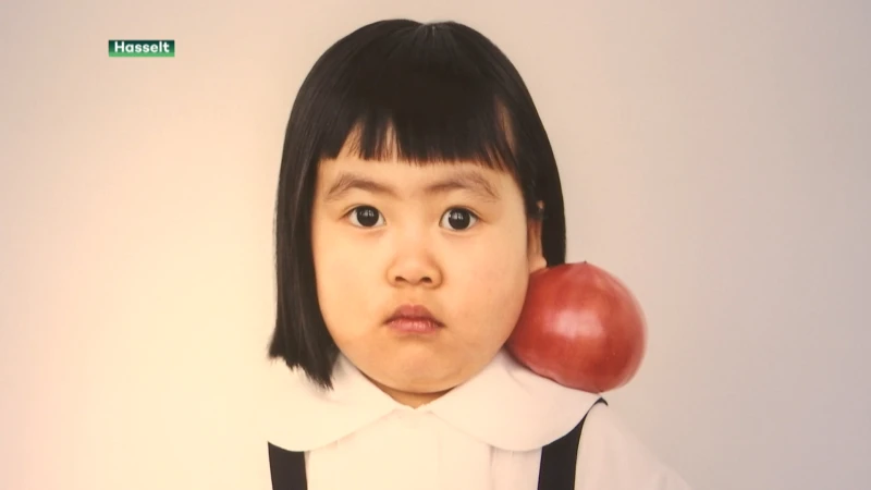 Cultuurcentrum Hasselt stelt werk van drie fotografen tentoon, waaronder van de Japanse Osamu Yokonami