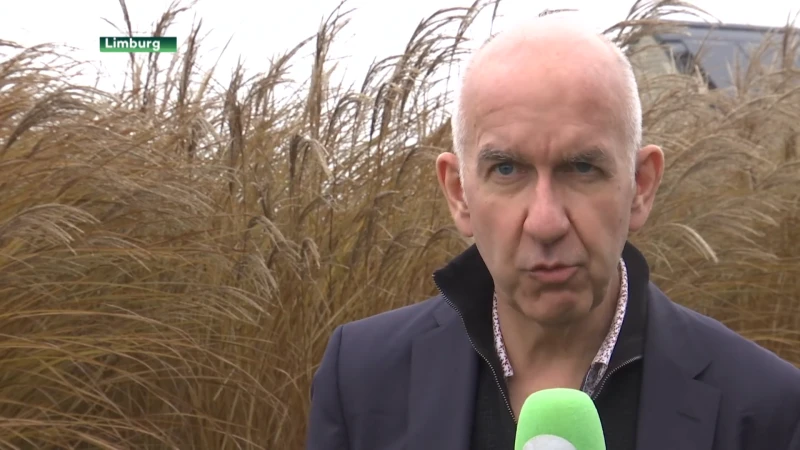 Molenberghs: "Drukke winkelstraten en volle voetbalstadions best verbieden"