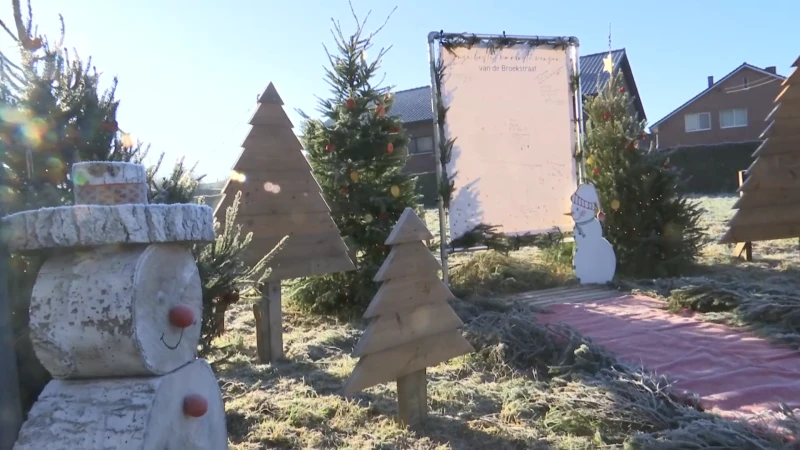 Straten van Stevoort met 1.342 kerstbomen opgefleurd
