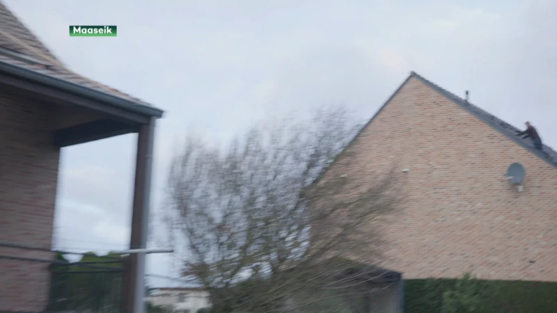 Veel materiële schade na valwind in Maaseik & Kinrooi