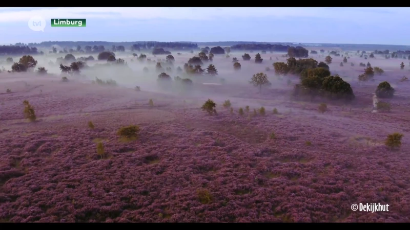 Zes Limburgse natuurgebieden maken kans om Nationaal Park of landschapspark te worden
