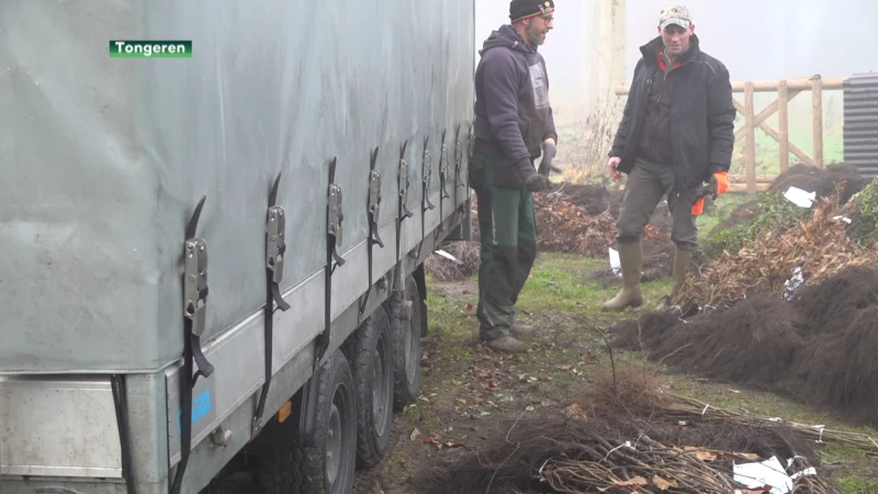 Jagers starten haagplantacties in Limburg