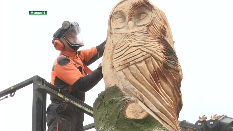 Kerstboom op Hasseltse Grote Markt is veranderd in een kunstwerk