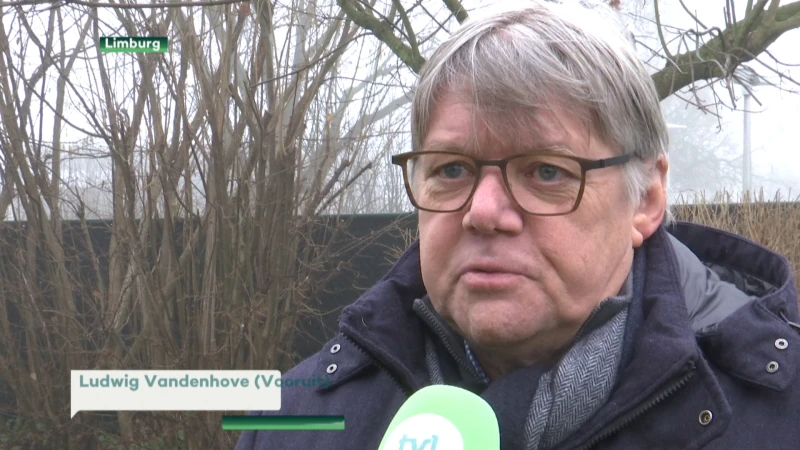 Vandenhove: "Waarom blijft het zo stil rond regiovorming Limburg?"