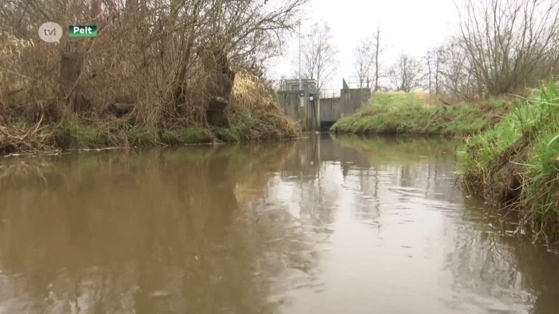 Werken aan rivier De Dommel moet wateroverlast én droogte aanpakken in Noord-Limburg