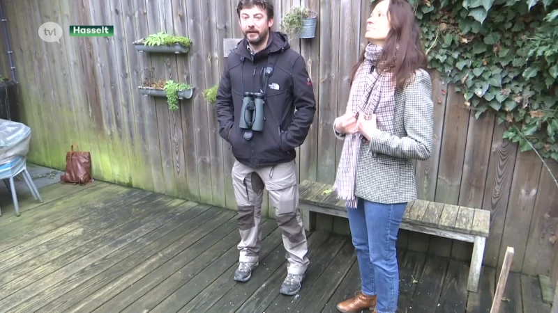 Hasselt stelt stadsbioloog aan om lokale natuur te promoten