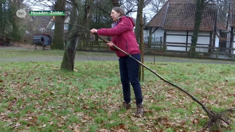 Aanleg Park met Smaak in Heusden-Zolder