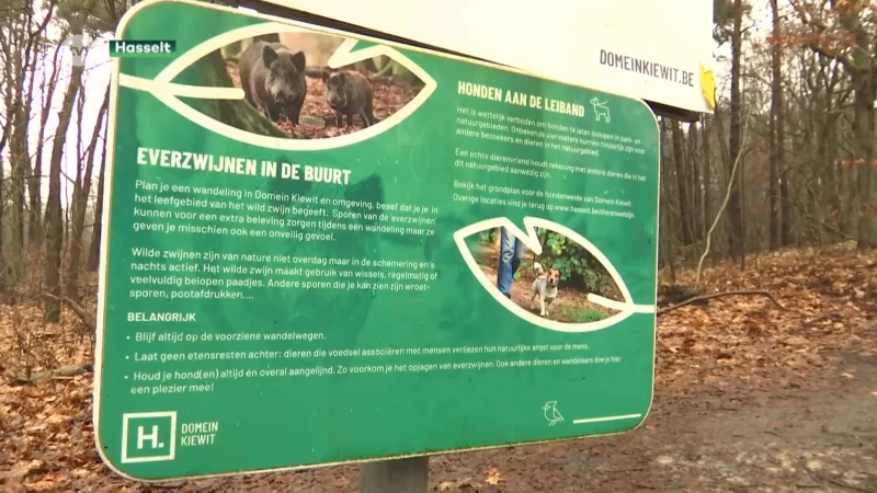 Stad Hasselt opent de jacht op evers