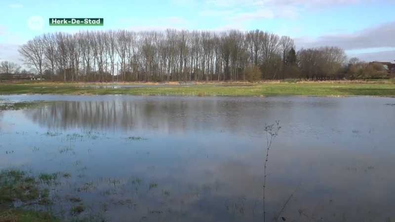 De Velpe is gestegen, maar geen alarmfase in Halen-centrum