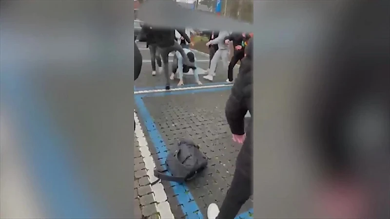 Tiental jongeren betrokken in massale vechtpartij Sint-Franciscuscollege
