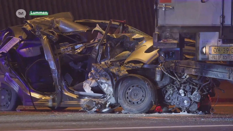 Twee zwaargewonden na omgewaaide boom op E313 in Lummen