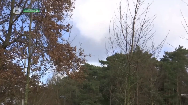 Vrijdag rukwinden tot 110 kilometer per uur in Limburg