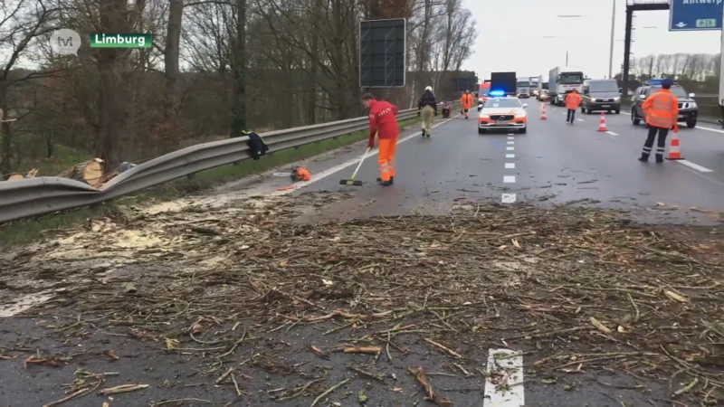 Stormschade in Limburg valt voorlopig mee