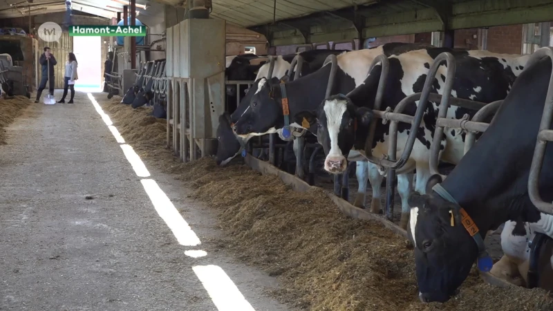 Stikstofakkoord is streep door de toekomst van jonge boeren met ambitie