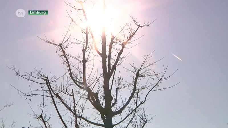 De winter is voorbij