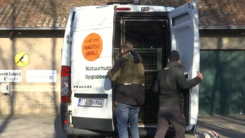 Natuurhulpcentrum haalt tweede lading dieren uit Oekraïne