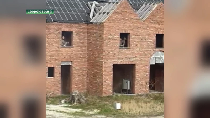 Leopoldsburg: 70-jarige man die agent neerstak, is doodgeschoten