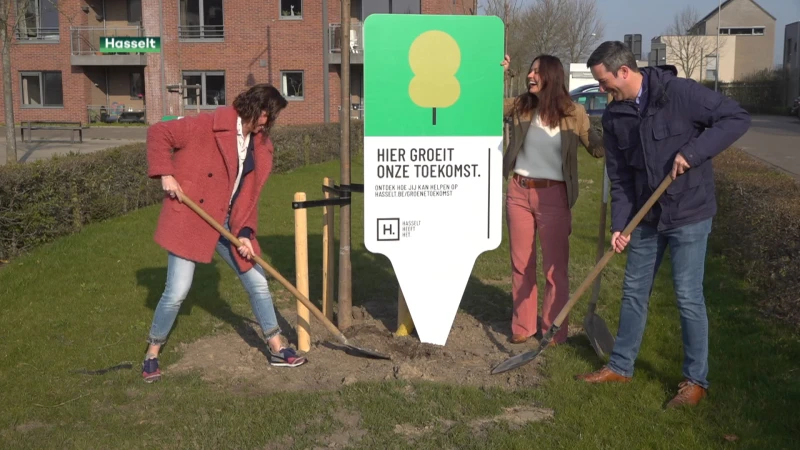 Hasselt plant Chinese klimaatbomen