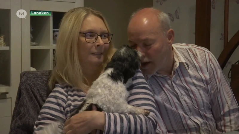 Koppel uit Lanaken bij wie 100 verwaarloosde honden in beslag werden genomen, doet voor het eerst zelf hun verhaal